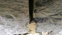 acastle
                          110465.jpg